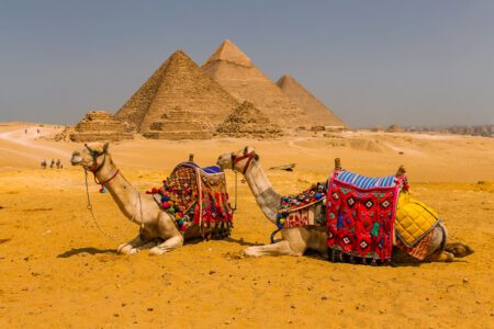 Explore the best Egypt Sightseeing Tours