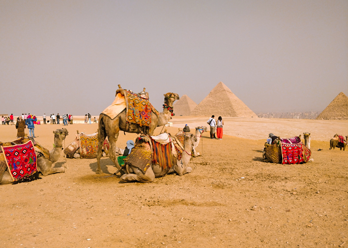 Private Pyramids of Giza & Grand Egyptian Museum Tour