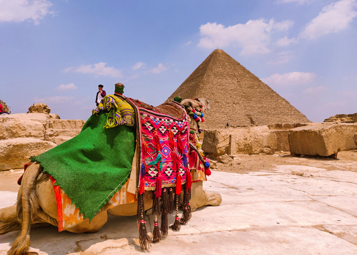 Private Pyramids of Giza & Grand Egyptian Museum Tour