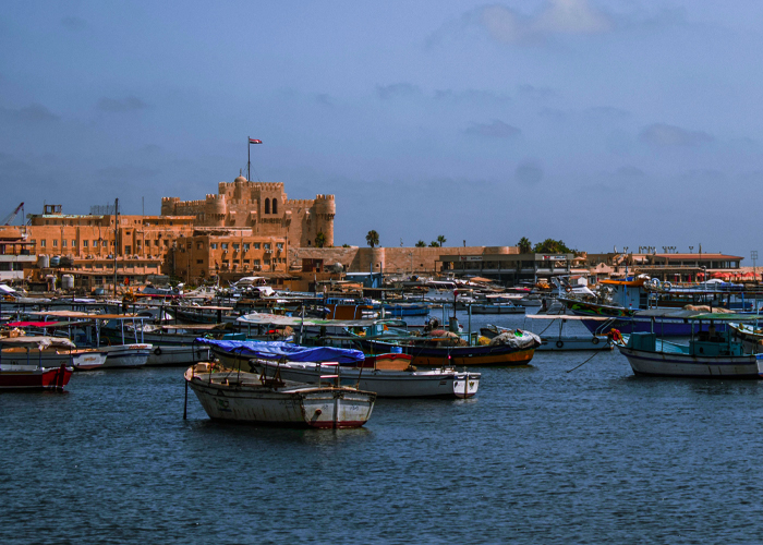 Alexandria Day Tour from Port Said