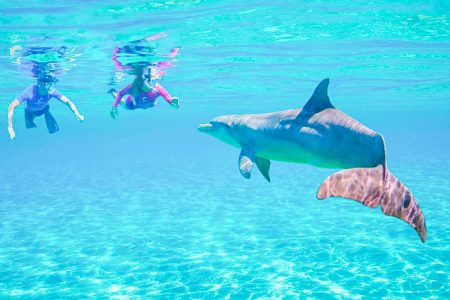 Hamata Island Snorkeling Trip From Marsa Alam