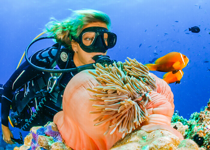 Mahmya Island Hurghada Snorkeling Trip