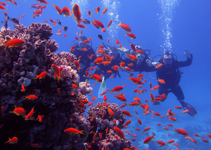 Mahmya Island Hurghada Snorkeling Trip