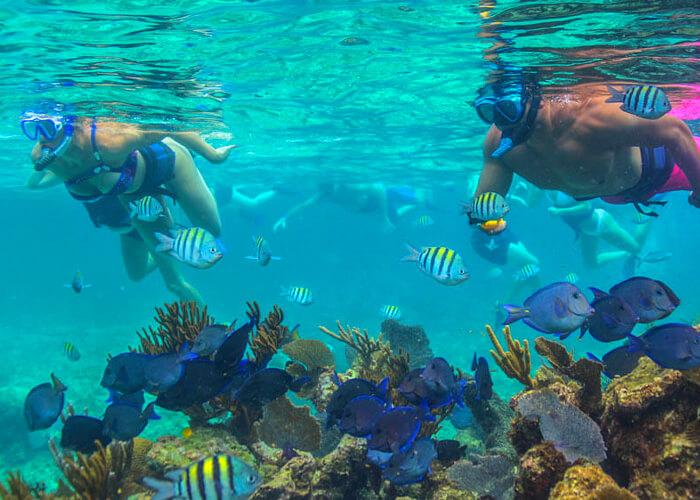 Mahmya Island Hurghada Snorkeling Trip