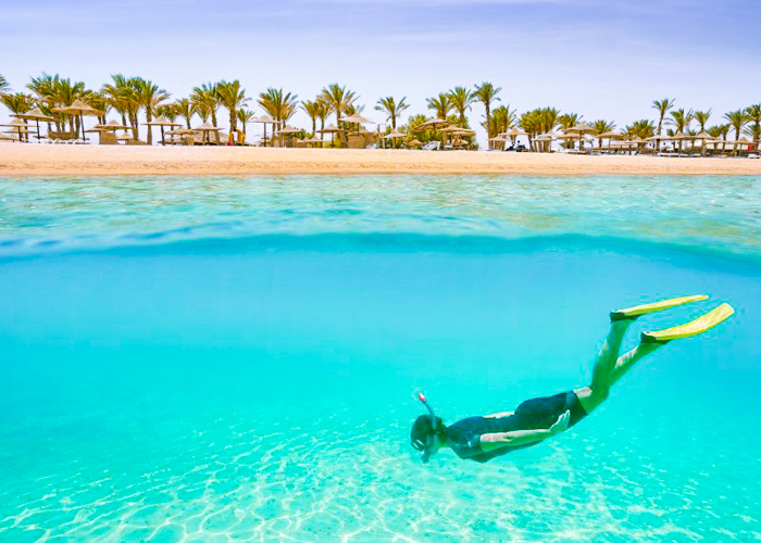 Snorkeling Trip at Port Ghalib from Marsa Alam