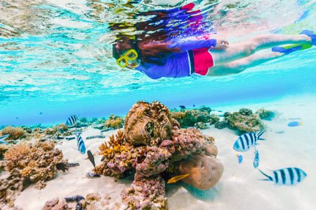 Snorkeling Trip at Port Ghalib from Marsa Alam