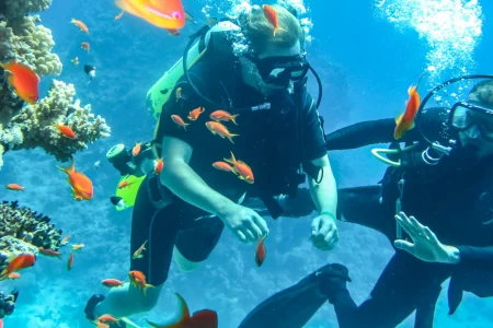 Private Tiran Island Snorkeling Trip from Sharm