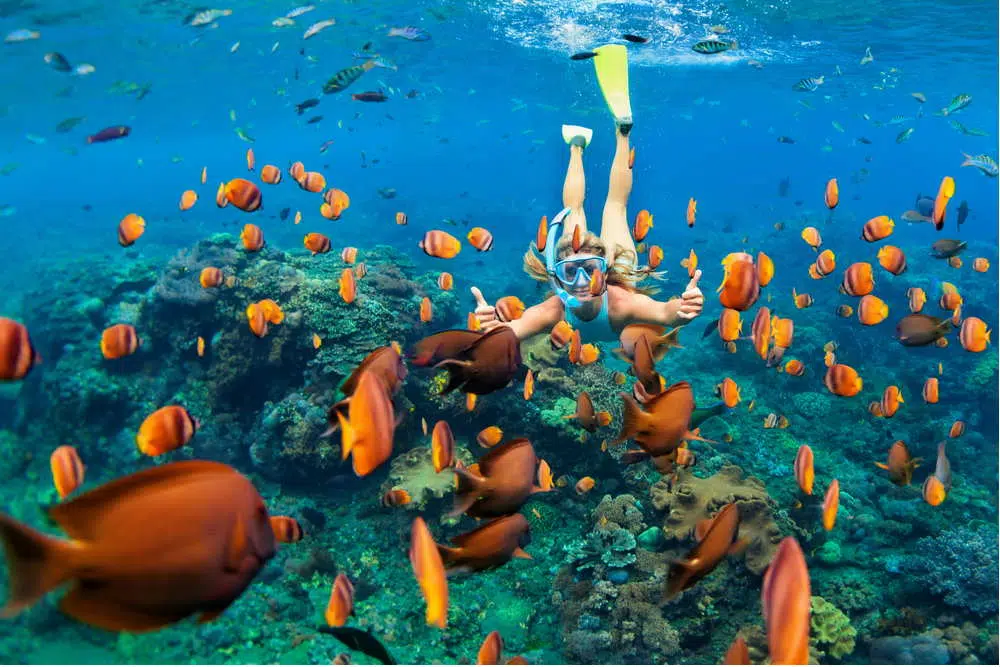 Private Tiran Island Snorkeling Trip from Sharm