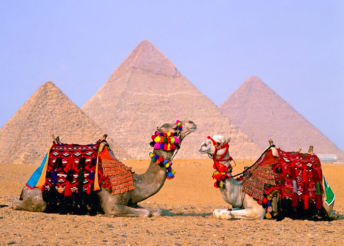 Giza Pyramids, Saqqara, and Dahshur Private Tour