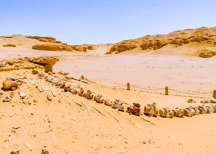 Private Fayoum Oasis Tour from Cairo