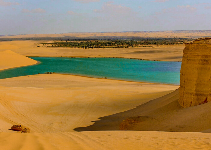 Trip to Fayoum and Valley of the Whales