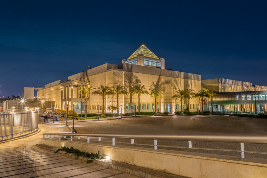 Private Day Tour of Museum of Egyptian Civilization from Alexandria Port