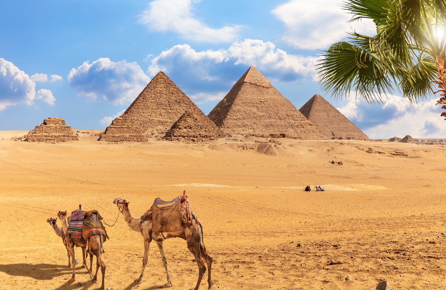 pyramids-of-Giza-Cairo Day Tour