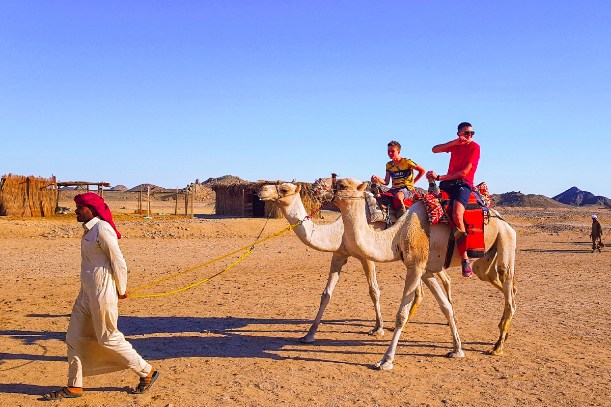 3 Days Tour to White Desert and Bahariya