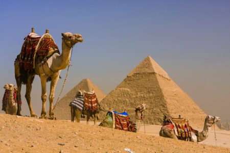 6 Days Safari Tour in Cairo, Bahariya Oasis, and White Desert