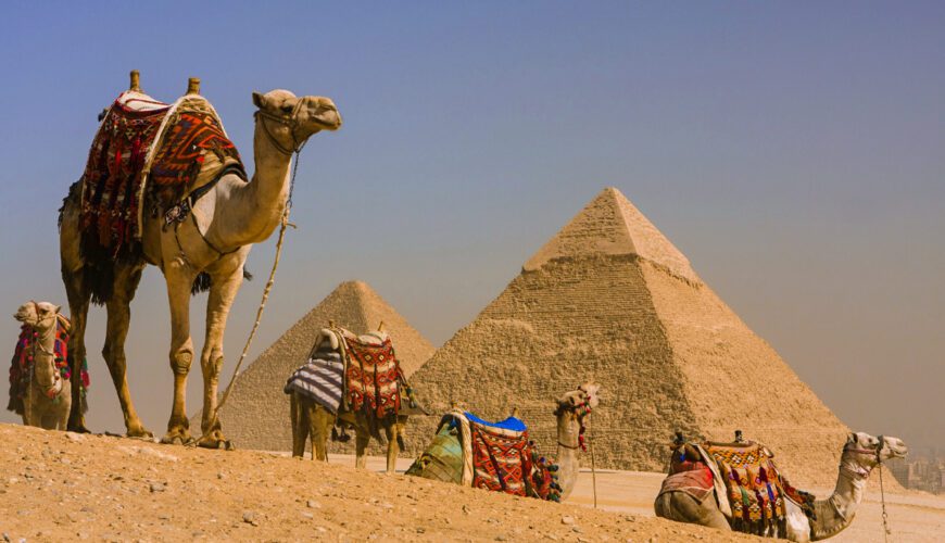 Camel-with-the-pyramids-of-Giza