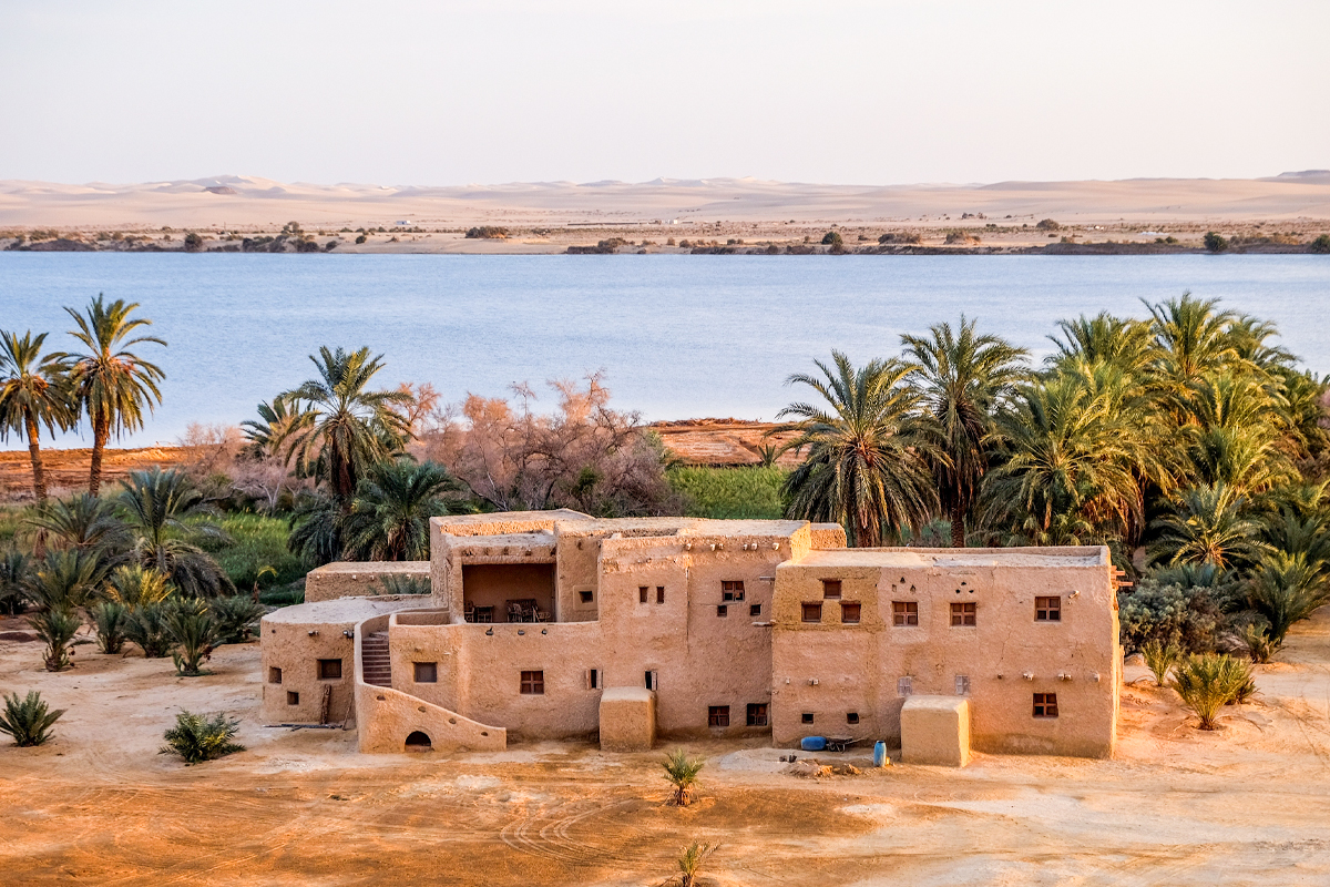 5 Days Siwa Oasis Tour Package