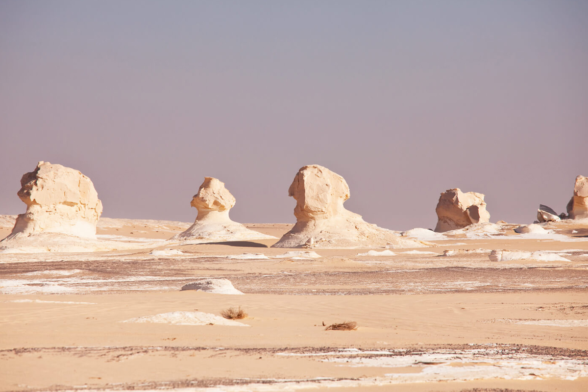 6 Days Safari Tour in Cairo, Bahariya Oasis, and White Desert